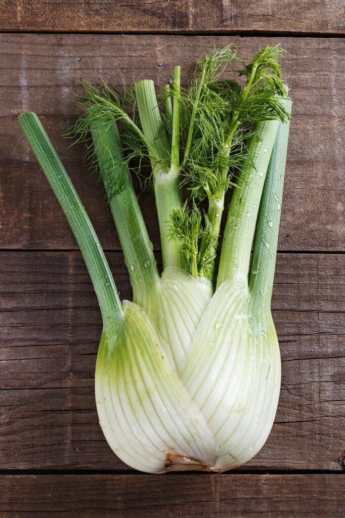 Fennel