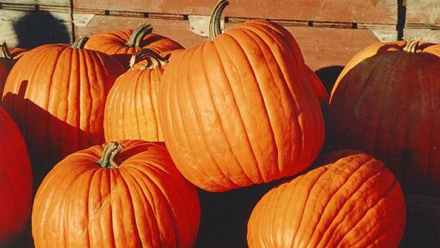 How to Cook Pumpkin Ice Cream With Caramel Sauce