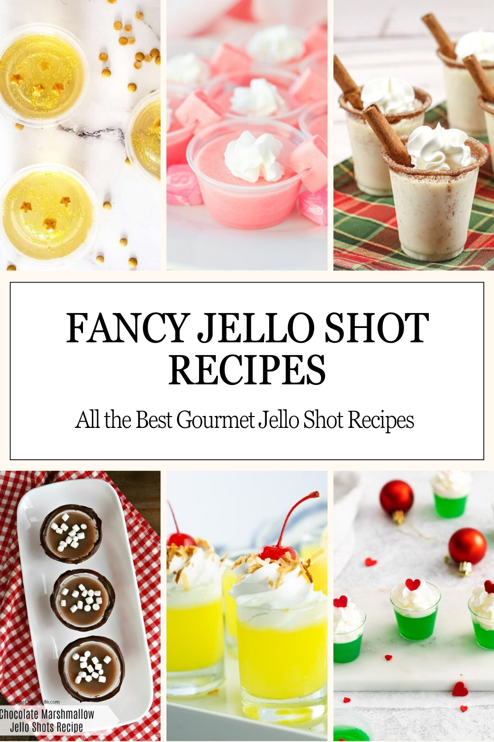 Fancy Jello Shot Recipes Pinterest Pin